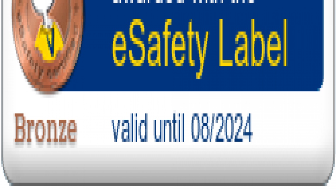 eSafety Label - Bronz Etiket